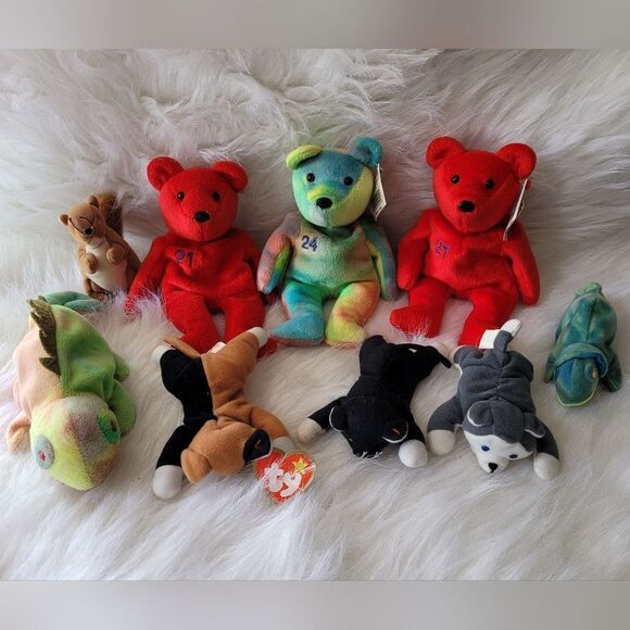 Ty Accessories - Beanie Babies Set